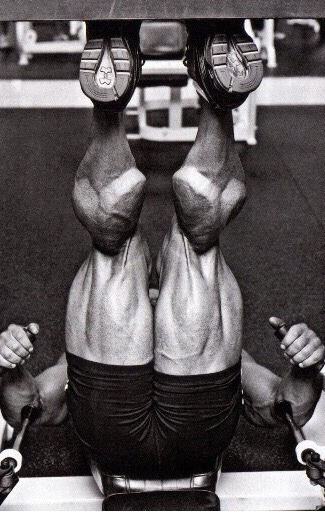 aspiring1:  Legs day press