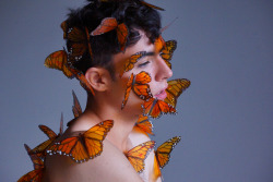lordmariposa:Diego Dom covered with butterflies