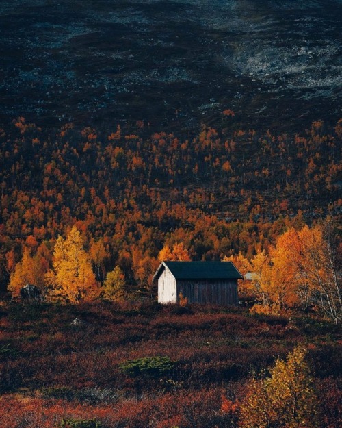 oldfarmhouse:RepostBy @photobykalle: “Trollstigen, Norway