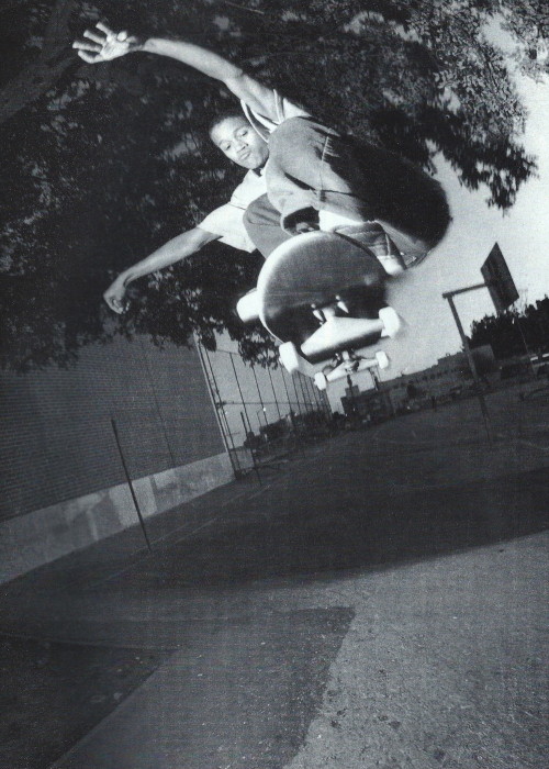 transworld skateboarding magazine