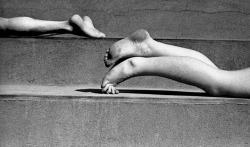 joeinct:  Legs, Photo by Fred Stein, 1935