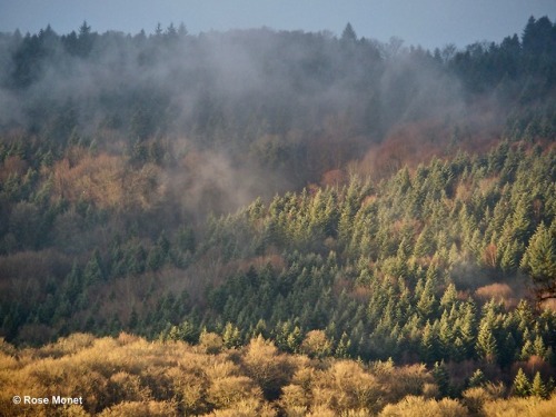 rosemonetphotos:Sunrise in Creuse (France)  03&gt;2018