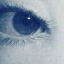 vermaxe