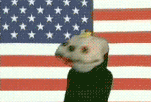 zOOmerbro