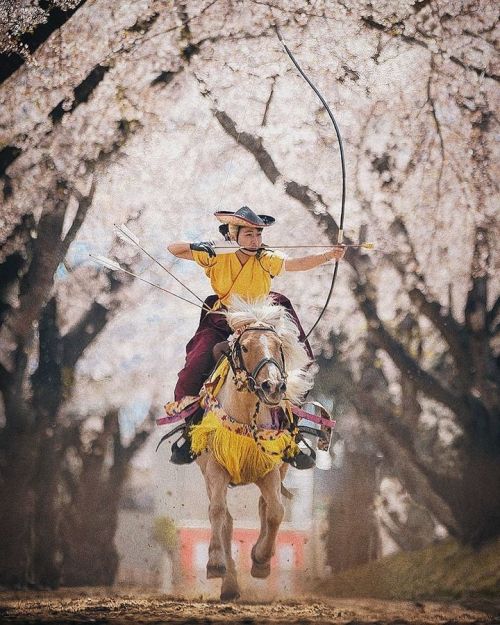 redsamuraiii:Yabusame by tokio_kid via Japan BlossomsYabusame (mounted archery) dates back as far as