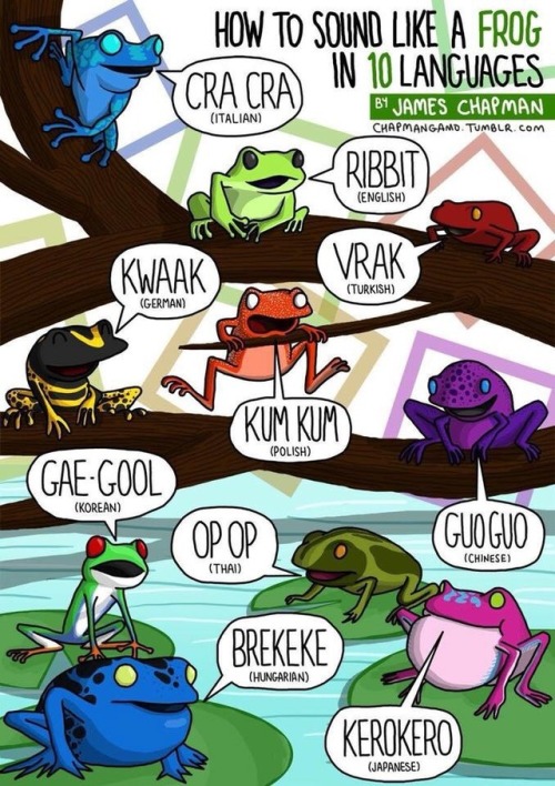 Sounds Like a Frog