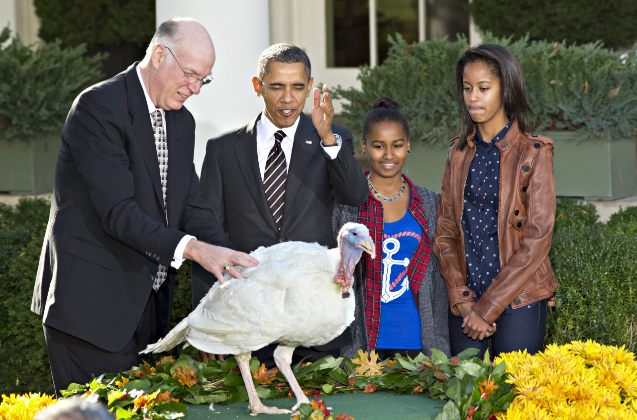 The 10 Turkey Finalists for 2015’s Presidential PardonWho will be this year’s presidential pardon turkey? Let’s take a look at our 2015 finalists and their odds out of Vegas.