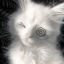 moomeadowly