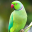 just4blog