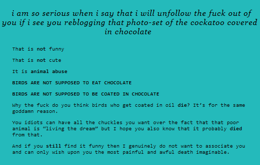 sarcastic-clapping:  tracomalfoy:  shiromouse:   i saw a post that was like ‘tumblr has become such a garbage site’ and I don’t think they were around for the bird in the chocolate fountain gif that set off a website-wide war sometime around 2012
