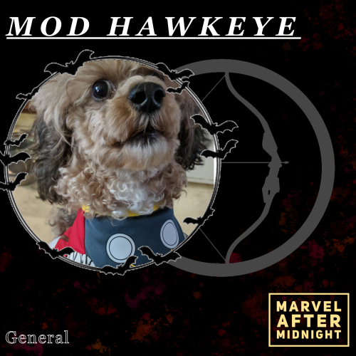 Meet the mods of Marvel After Midnight!Mod Hawkeye ~ KasGeneral ModTumblr Hey, I’m Kas! I&rsqu