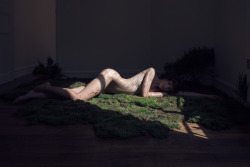 elle-aussi:  Moss II - 2014