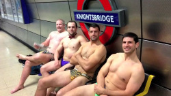 roscoe66:London Scottish Rugby Club Budgy