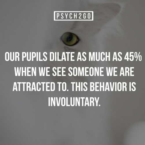 psych2go:  If you like these posts, check out @psych2go.