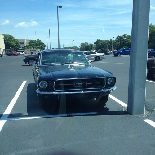 Gimme 😍 #gimme #mustang #blue #ford #car #want #dream