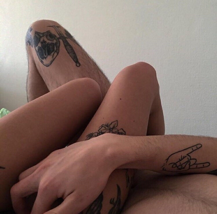 festeiro:  