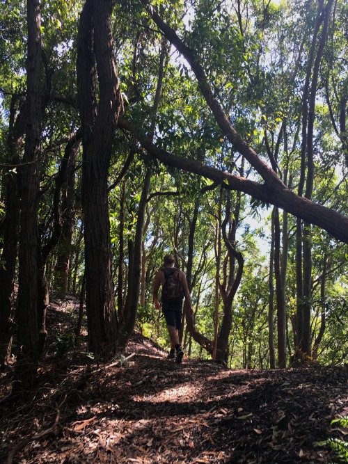 Went for a bushwalk through Glenrock State Conservation Reserve with Maxwell. Pretty shady forest vi