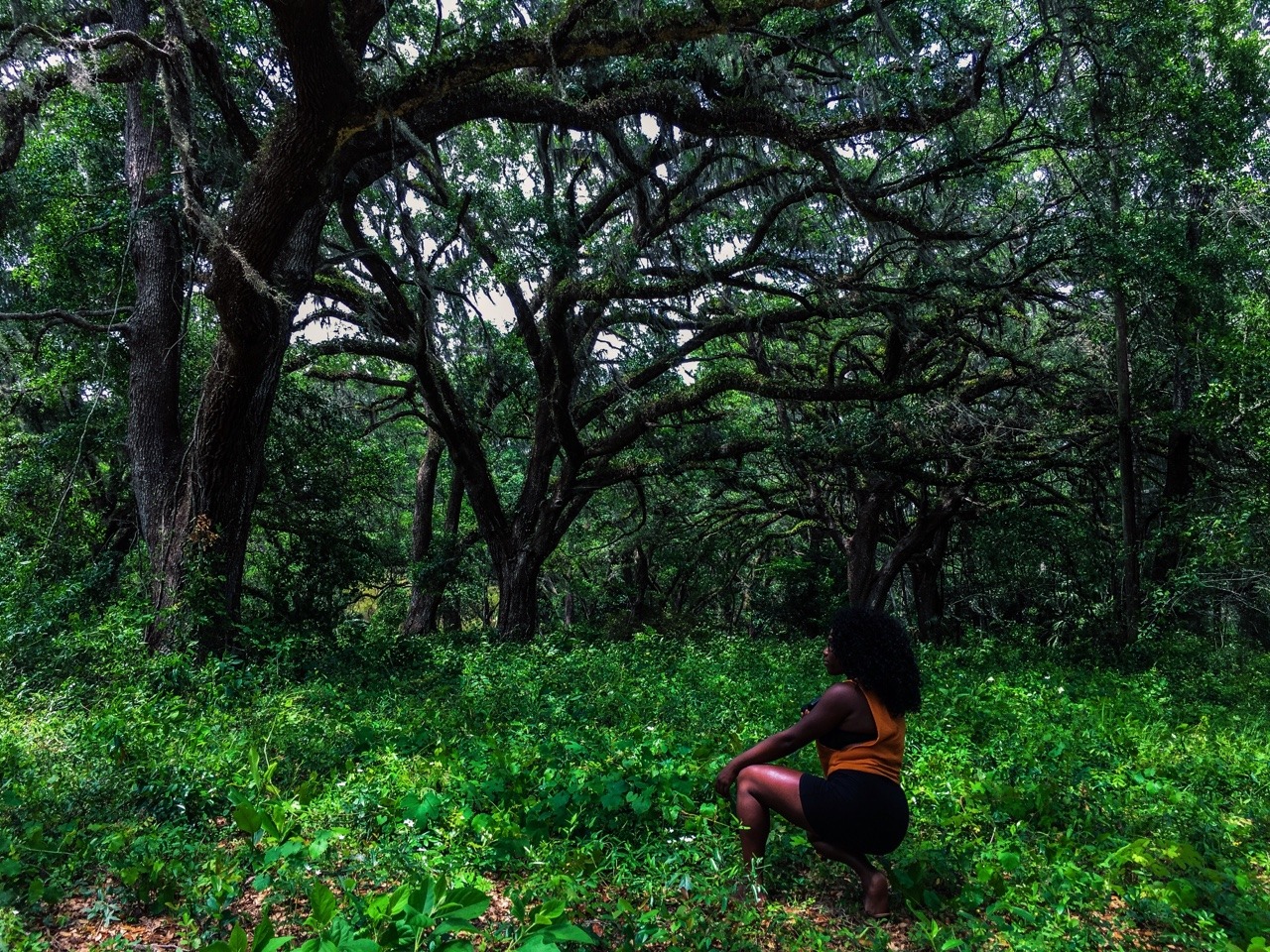 manifestvibrations:We got lost and found Utopia