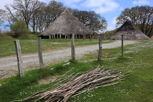 Castell Henllys Iron Age Settlement, Pembrokeshire, South Wales, 5.5.18.Reconstructed roundhouse com