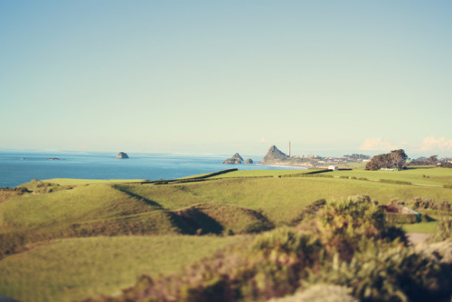 taranaki