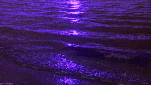 pinkcollapse:  [my edit]source: living stills