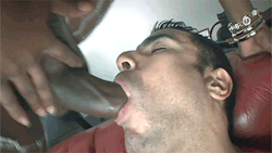 quietshemalesex:     Swallow that black cock
