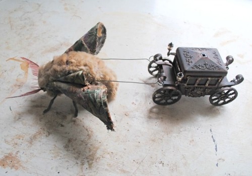 theoddcollection:mouseborg:theoddcollection:Moth pulling a tiny coach.By Mister Finch.www.mister-fin