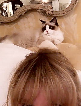 taylorswifh:I’m signing this CD inserts because the album is so close to being out.