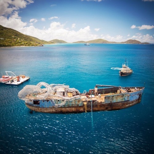 charlesoberonn: itscolossal: An 80-Foot Steel Kraken Will Create an Artificial Coral Reef Near the British Virgin Islands When you wanna save the reefs but also confuse the hell out of future marine biologists. 