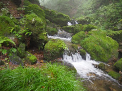 oviz:  Mitake, Japan