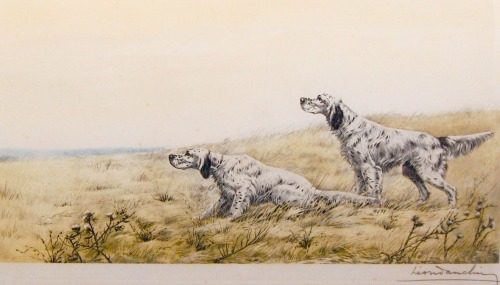 art-nimals: Léon Dachin (1887 - 1939), English Setters, etching 
