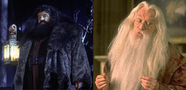 adamchu:  alovely-hater:  theeconsultingwizard:  harry potter + characters who were
