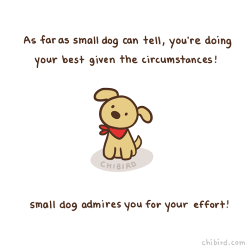 chibird:Doing your best is important, and small dog appreciates that. :D For if you’ve been feeling 