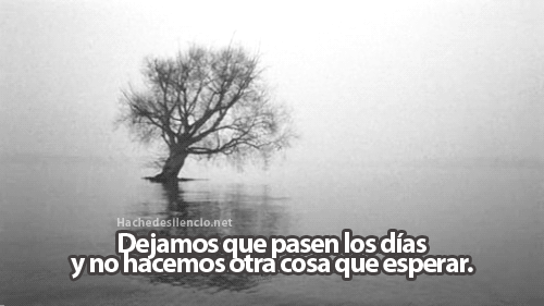 vive la vida sin estres, fumese uno, dos o tres