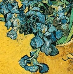 artessenziale:  Vincent Van Gogh, Vaso con