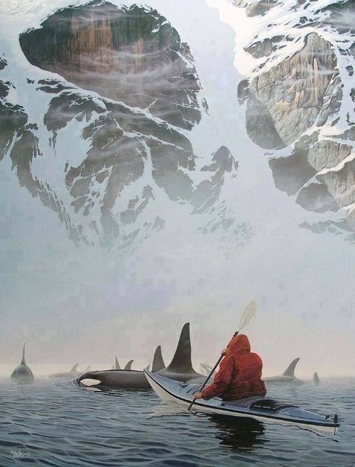 dreaminginthedeepsouth:pinkbeforeviolet:Kayaking with killer whales. * * * *“Life is precious. Not b