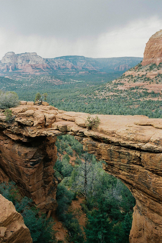 wanderthewood:  Sedona, Arizona by liammcmillan
