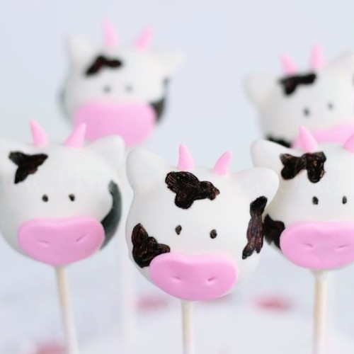 Cow Agere Board