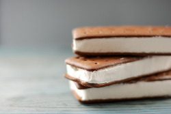 ice cream sandwiches bitches…yeaaa!