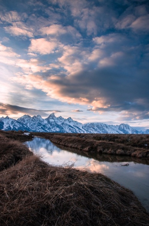 Spring is almost here. Grand Teton National Park @zeisenhauer