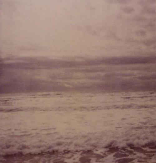 memoryslandscape:Cy Twombly, Polaroid, n.d.more