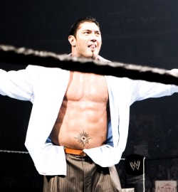 wwe-4ever:  Best Shots Of Batista 37/?