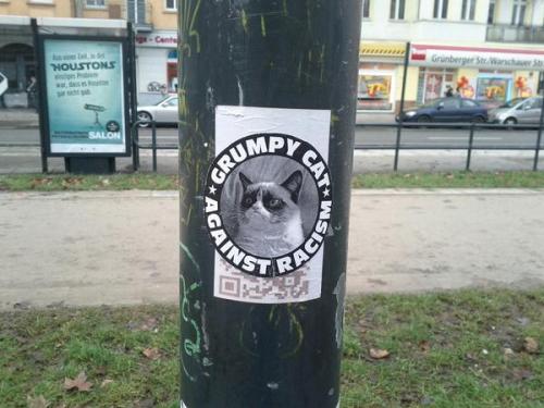 “Grumpy Cat Against Racism” stickers seen in various cities across Europe.Sadly, Grumpy Cat, otherwi