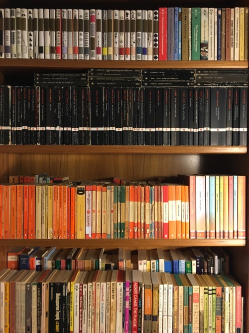 macrolit:This is my step-bookshelf. As lovely as it is, it never gets any natural light (stupid sun!