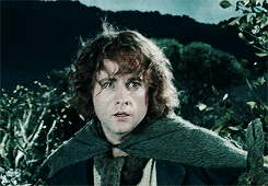 boromirs:  For the time will soon come when Hobbits will shape the fortunes of