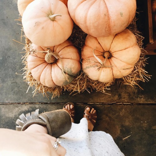 oldfarmhouse:Autumn DetailsKatie Prouty