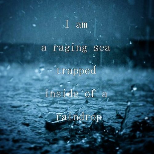 Sometimes I feel so much. ~Alecia  #quotesgram #quotes #quotestoliveby #rain #rainquotes #ocean #emo