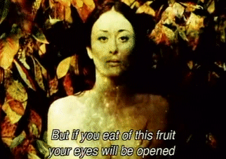 lessharmindreaming: ‘Fruit Of Paradise’  -  Vera Chytilova