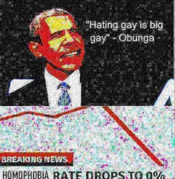 fakehistory:  Obama fights to end homophobia (2009)