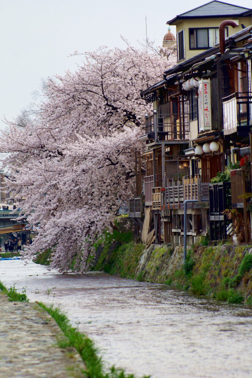 japan-overload:by  Nobuhiro Suhara